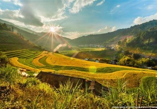 Mu cang chai 2