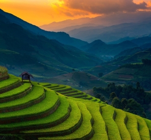 Mu cang chai