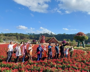 DA LAT - MUI NE - HCM 